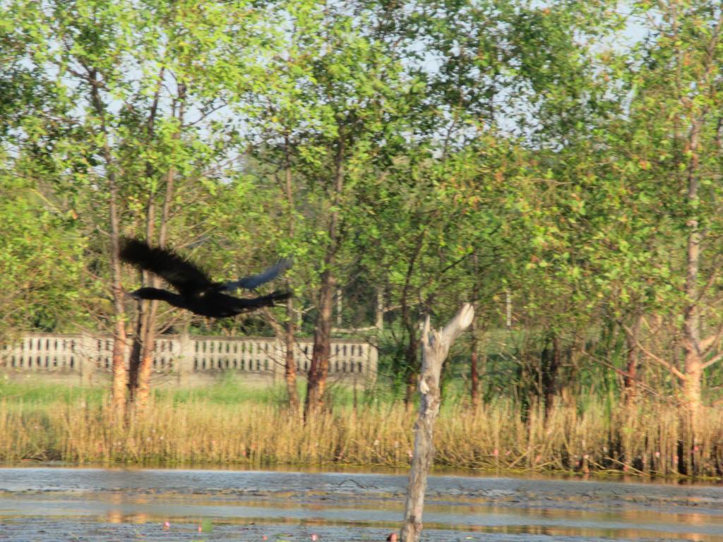 Ao Thai Resort Sathing Phra Dış mekan fotoğraf