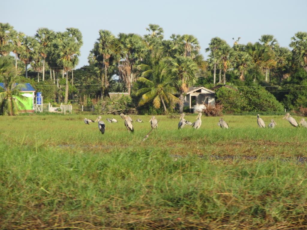 Ao Thai Resort Sathing Phra Dış mekan fotoğraf