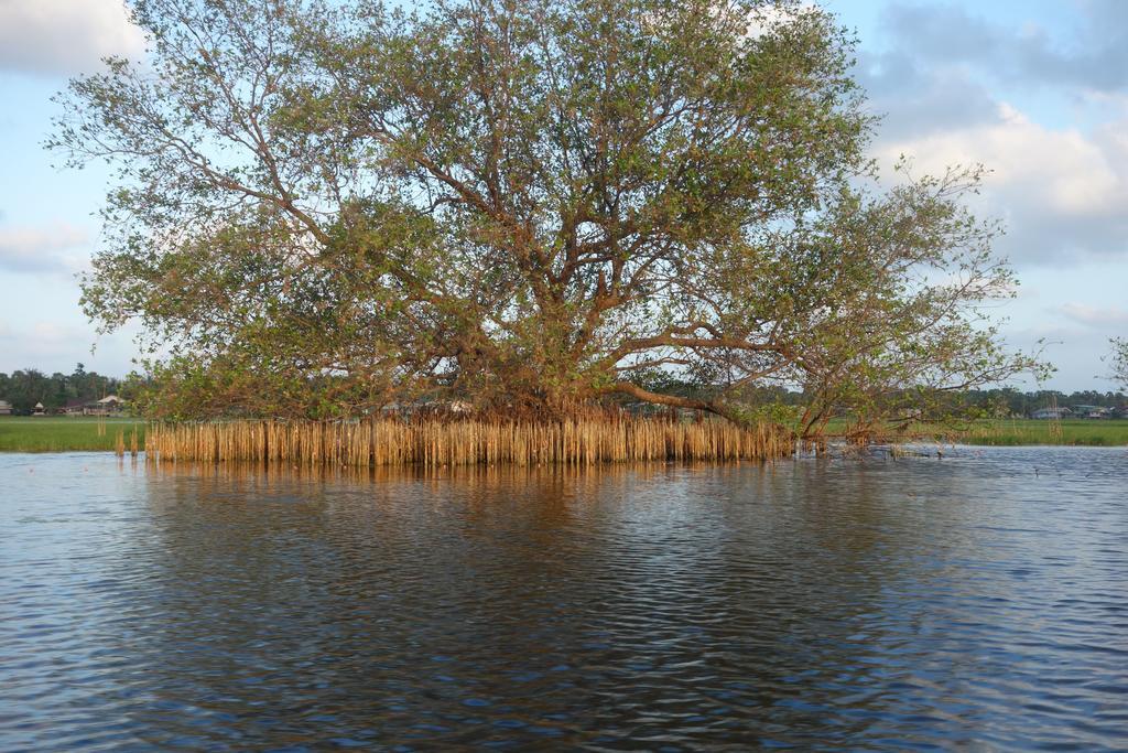 Ao Thai Resort Sathing Phra Dış mekan fotoğraf