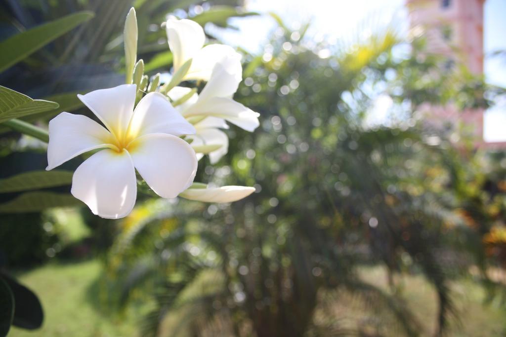 Ao Thai Resort Sathing Phra Dış mekan fotoğraf